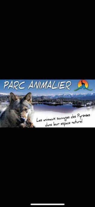 Appartement Avec Vue Sur Le Lac De Matemale Les Angles (Pyrenees-Orientales) Exterior foto
